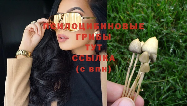 хмурый Снежинск