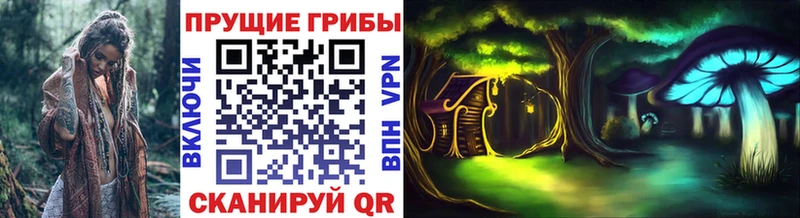 Псилоцибиновые грибы Psilocybine cubensis  Купить  Агрыз 